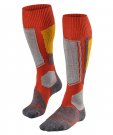 Falke SK4 Dam