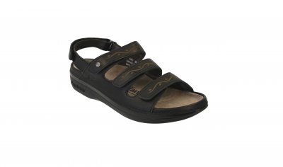 Cambrian Delphi  Dam