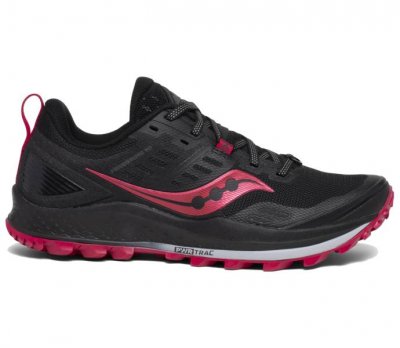 Sacony Peregrine10 W